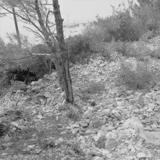 Posječena šuma i minirano 2 m od prometnice, a postojala mogućnost uz rub ceste