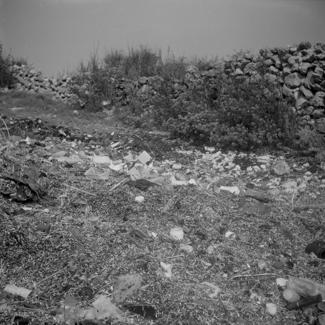 Saharun - zagađenje  - alge, plastika i mazut prema ulazu iz Solina