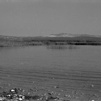 Vransko jezero - trska sjeverozapadno