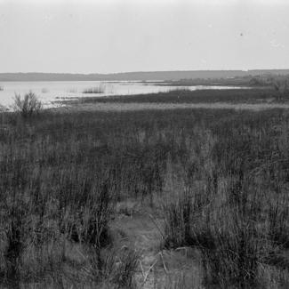 Vransko jezero, pogled prema restoranu od pumpne stanice na sjeverozapadnom dijelu