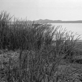 Vransko jezero - ispred pumpne stanice