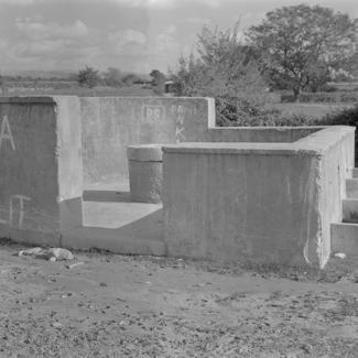 Lupoglavac; pojilište bočno i dio krune