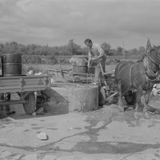 Lokvenjak; pored bunara traktori i konjska zaprega