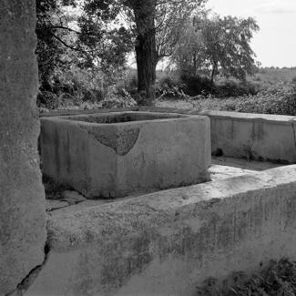 Škarin donji; kruna gledana iz kuta