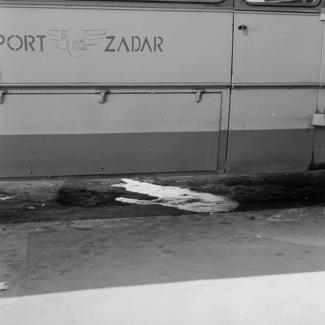 Lokalna autobusna stanica. Ulje na asfaltu