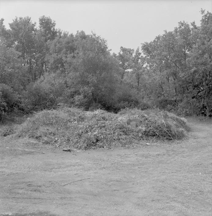 Nakupine smeća  - zapaljivo - Galićeva draga