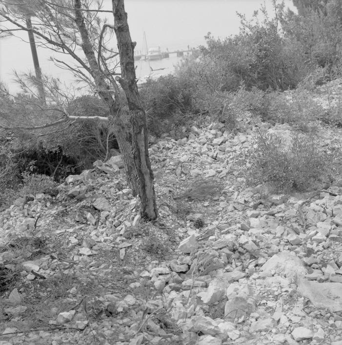 Posječena šuma i minirano 2 m od prometnice, a postojala mogućnost uz rub ceste