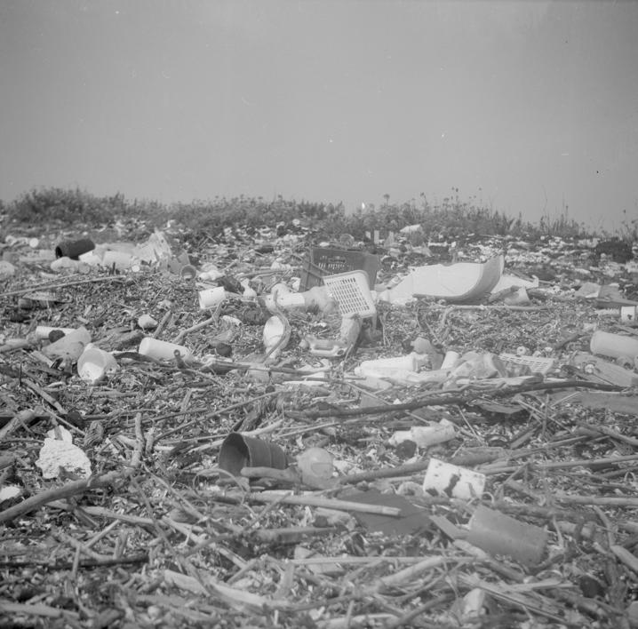 Saharun - zagađenje