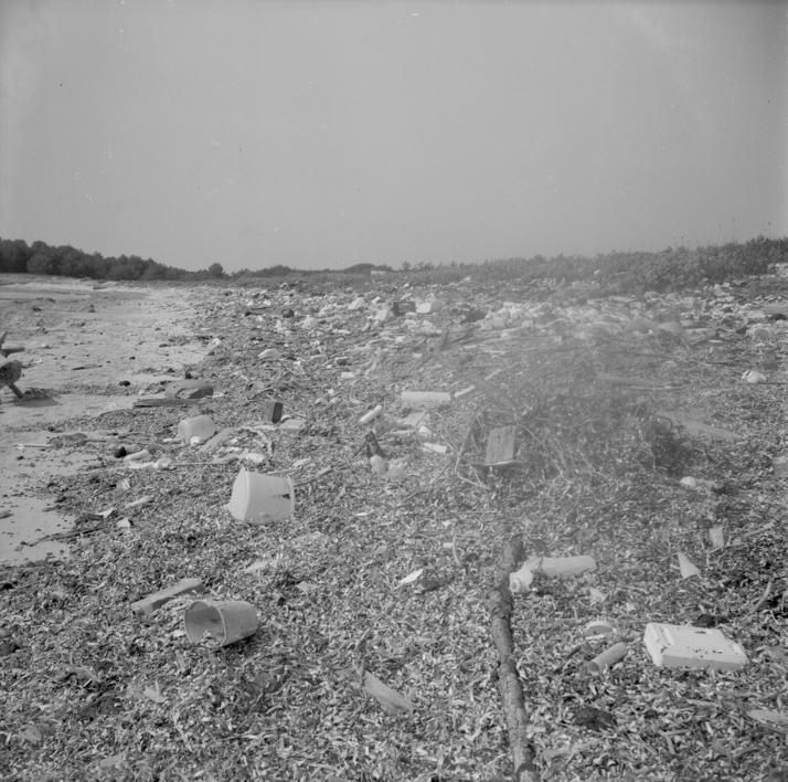 Saharun - zagađenje po čitavoj dužini plaže