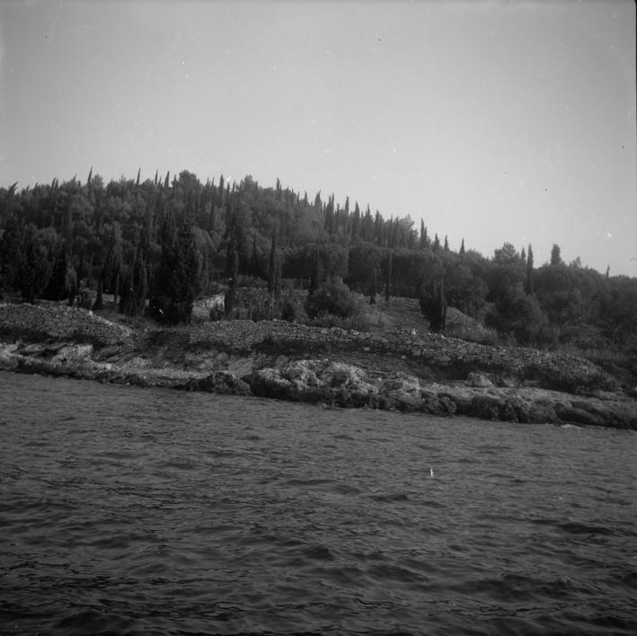 Kukljica - šuma borova i čempresa