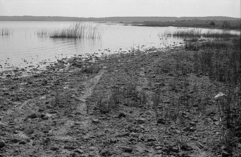 Vransko jezero - sjeverozapadni dio