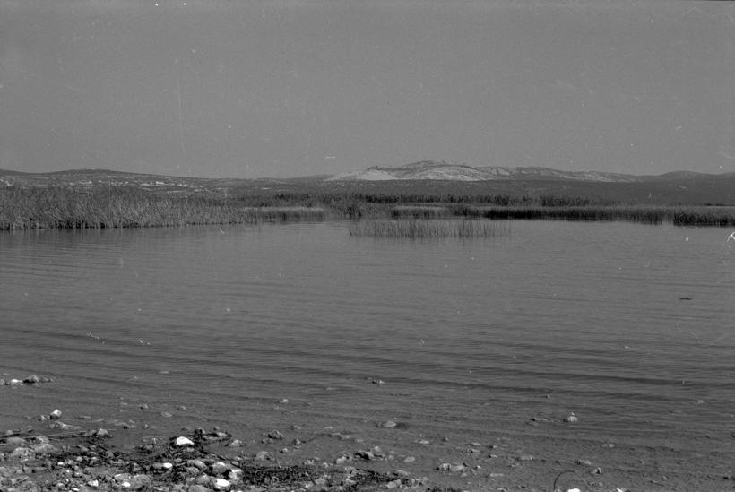 Vransko jezero - trska sjeverozapadno