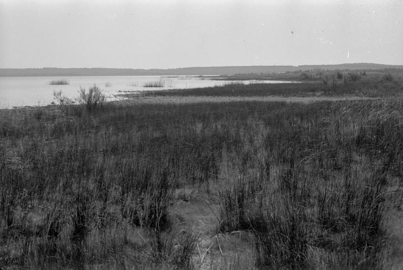 Vransko jezero, pogled prema restoranu od pumpne stanice na sjeverozapadnom dijelu