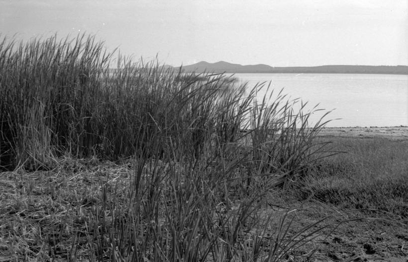 Vransko jezero - ispred pumpne stanice