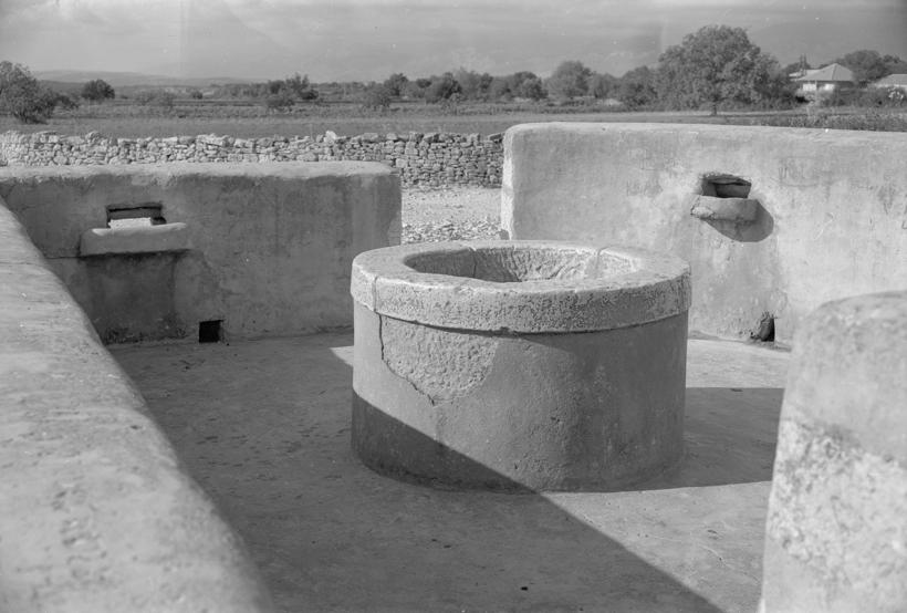 Pećarevac; kruna gledana sa zapadne strane