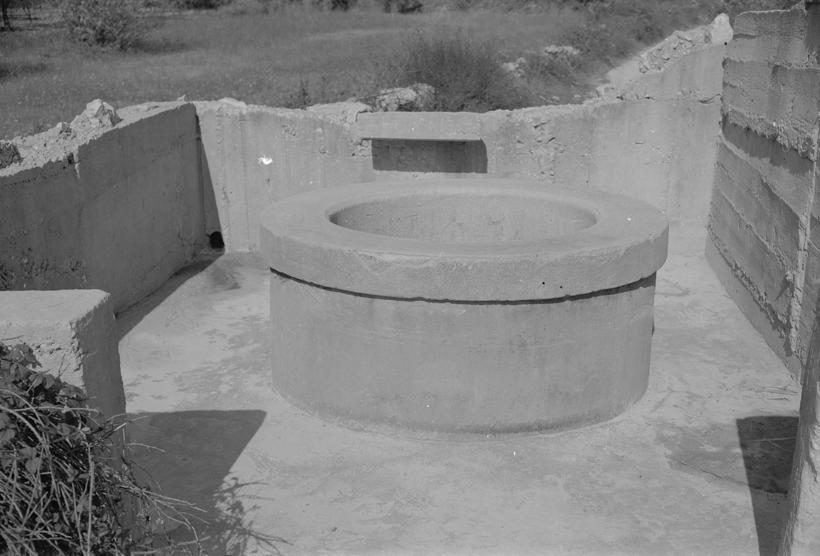 Dešpet; kruna bunara