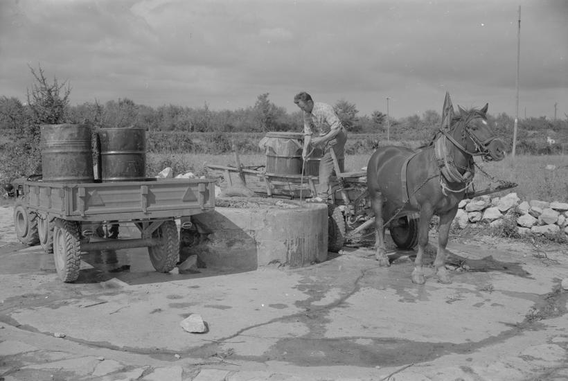 Lokvenjak; pored bunara traktori i konjska zaprega