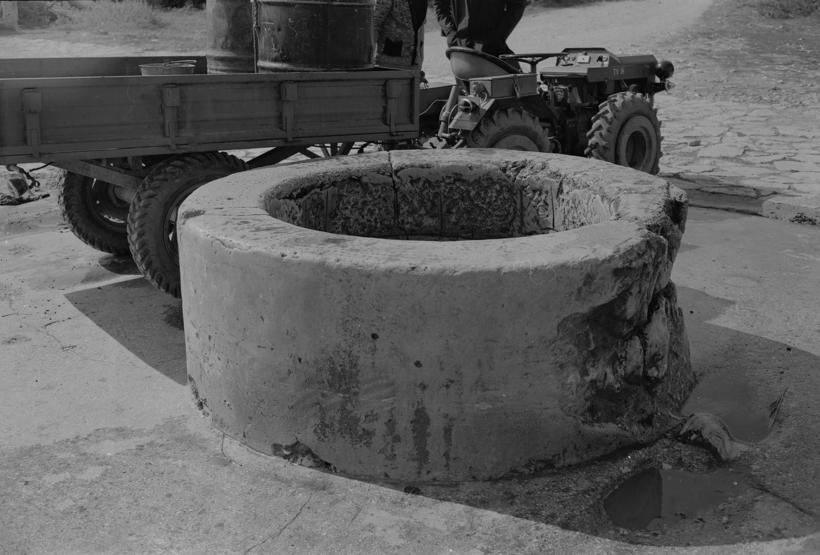 Lokvenjak; oštećenje krune